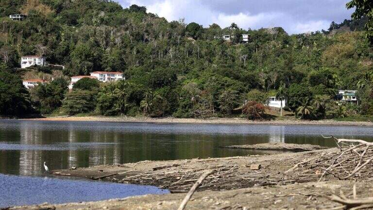 Aprueban declaración de desastre por sequía para la agricultura en Puerto Rico