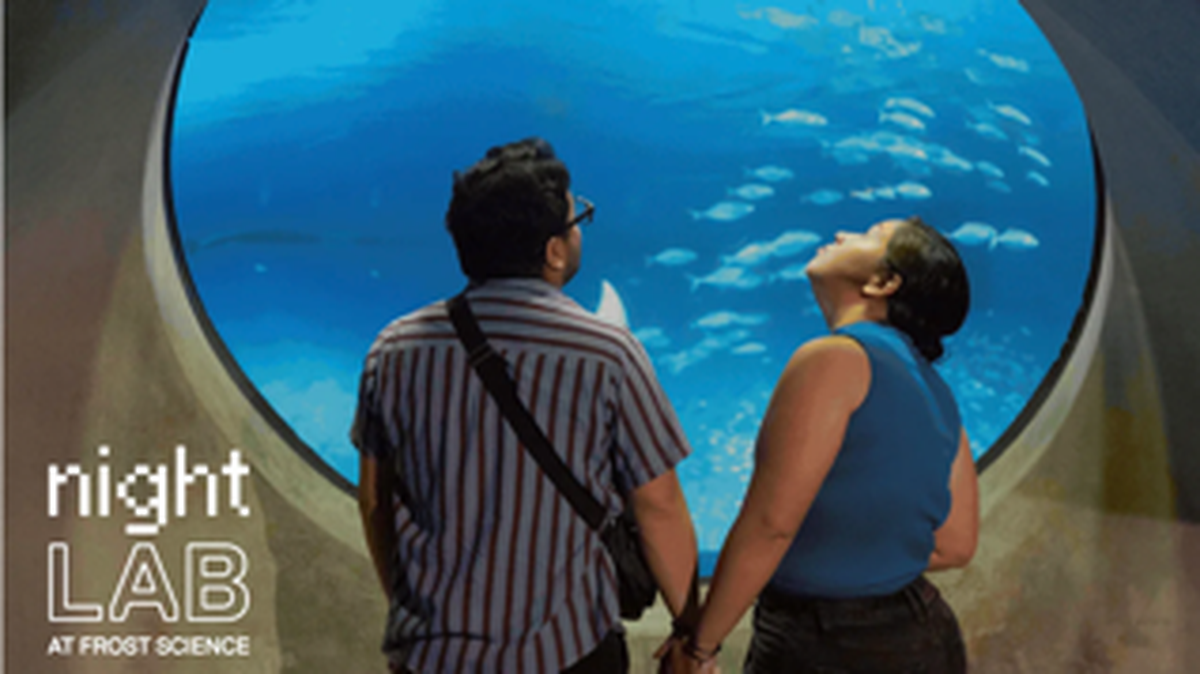 Explora la exhibición Bugs antes de que se despida, participa en actividades con organizaciones comunitarias, disfruta de comida y bebidas, y vive una experiencia única.