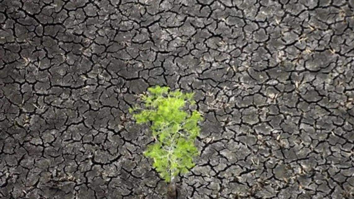 Acuífero Biscayne se recupera y levantan la advertencia de escasez de agua