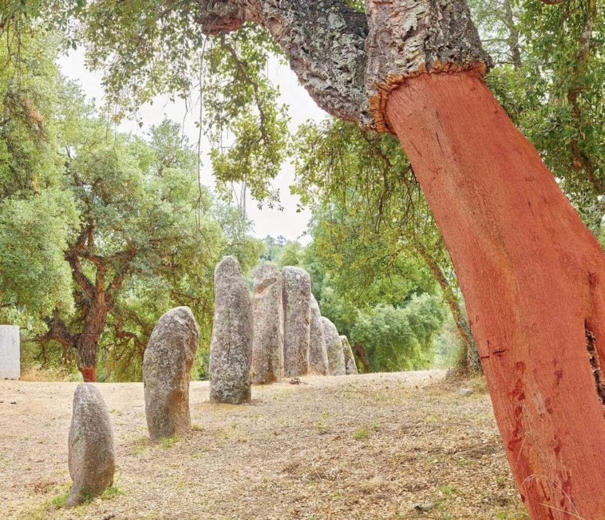 “Sorgono, Nuoro”, fotografía de Olivo Barbieri.