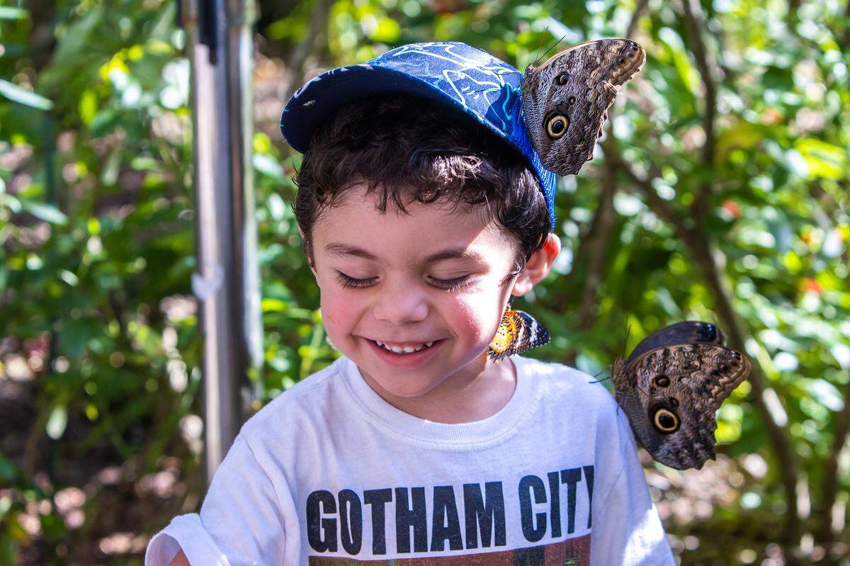 Fairchild Tropical Botanic Garden: Expedition Discovery es un programa para niños al aire libre que les permite descubrir los rincones escondidos y plantas ​autóctonas.