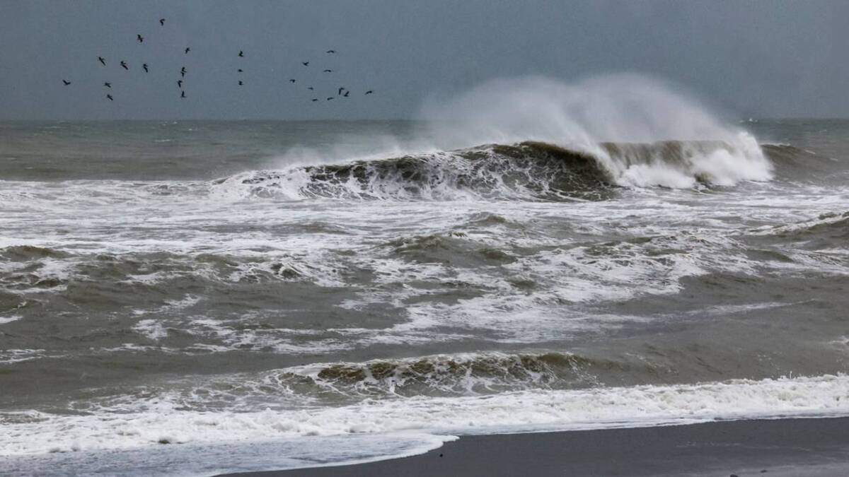 Olas se estrellan en la costa la madrugada del miércoles 9 de octubre de 2024. La marea alta en el área de Venice Beach será a las 5:00 a. m. del jueves, mientras la costa oeste espera la llegada del huracán Milton. Al Diaz / Personal del Miami Herald adiaz@miamiherald.com