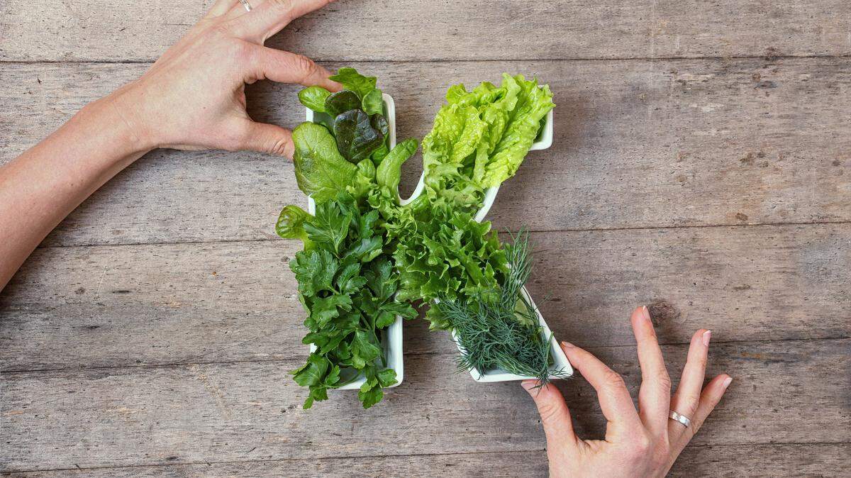 Vitamin K in food concept. Woman’s hands holding plate in the shape of the letter K with different fresh leafy green vegetables, herbs, lettuce on wooden background. Flat lay or top view.