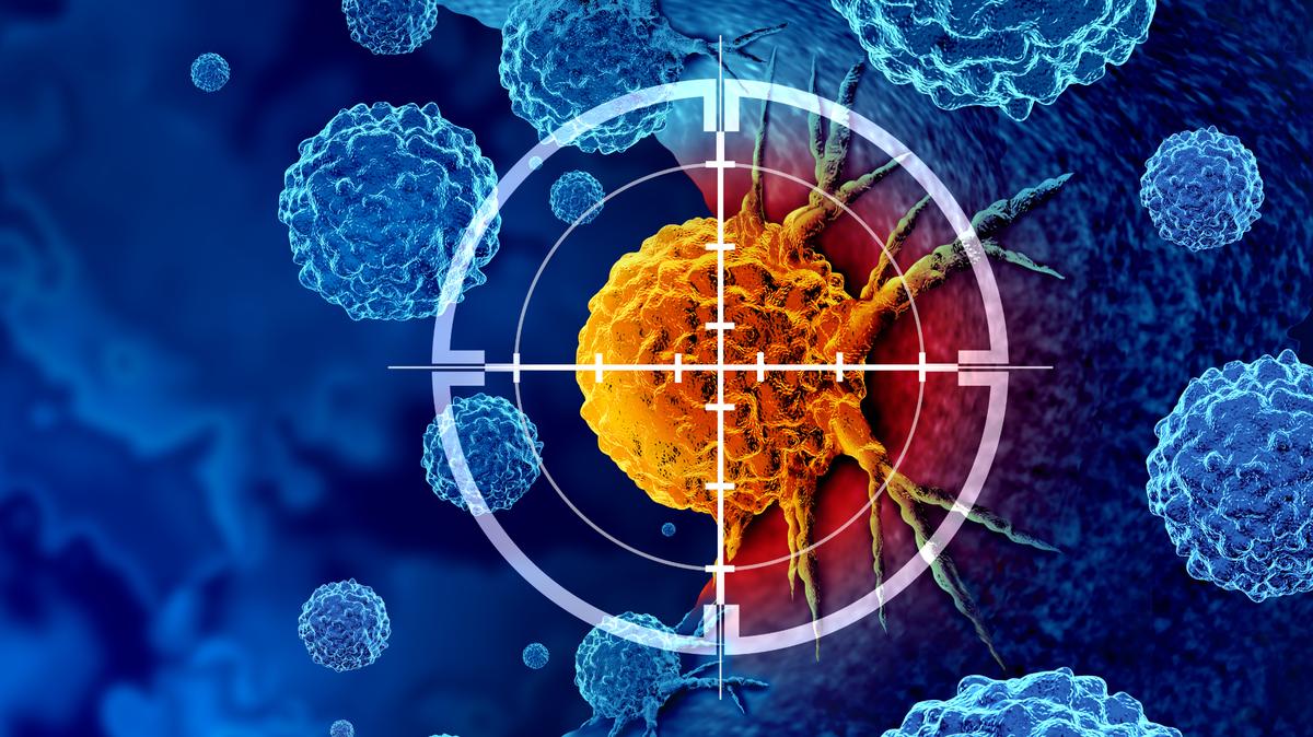 Células cancerosas. Una organización caritativa presuntamente usó la enfermedad del cáncer para estafar a la gente, según la Comisión Federal de Comercio.