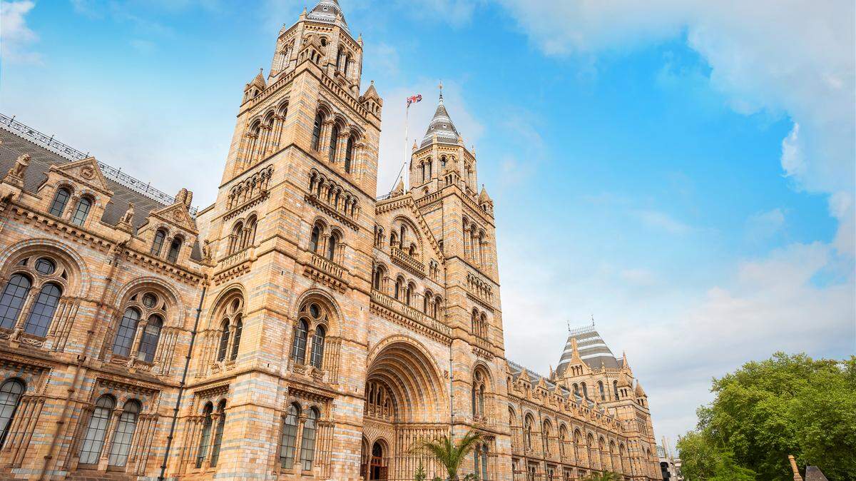 Museo de Historia Natural (Londres).