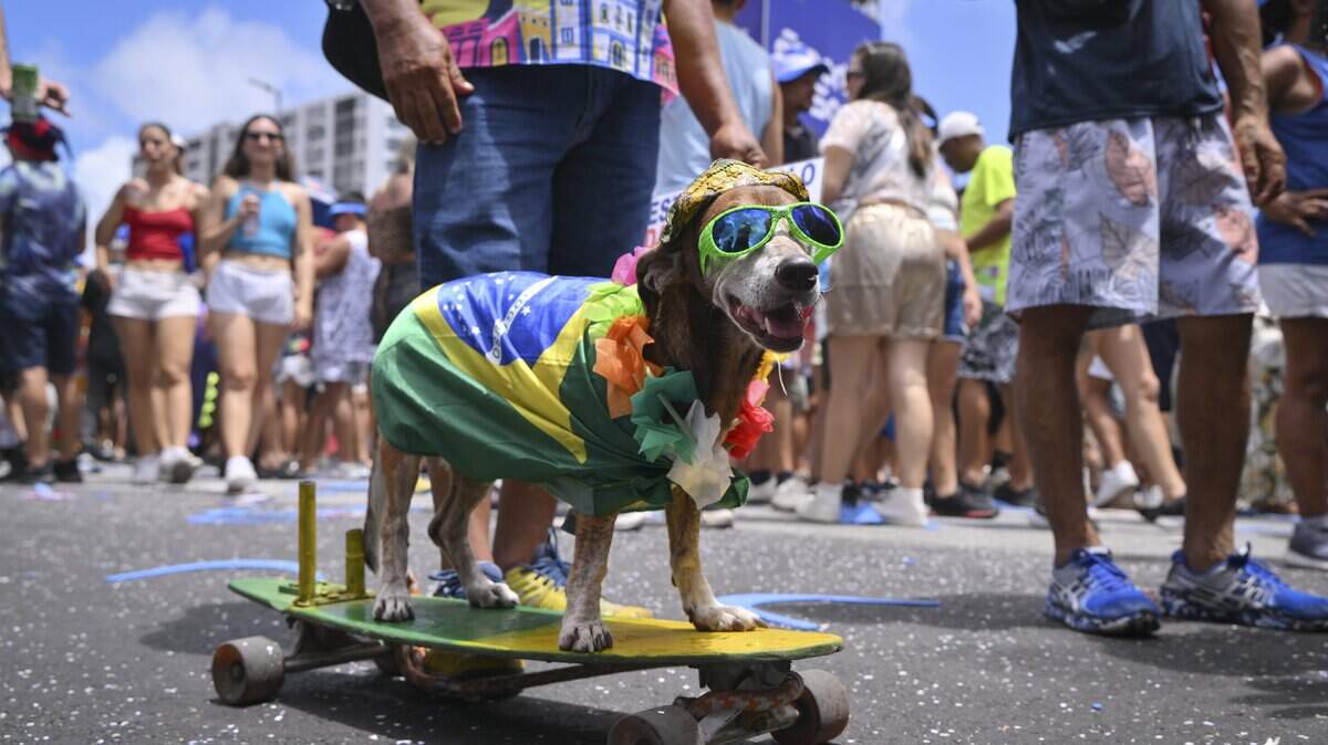 Un perro participa en el desfile Galo da Madrugada durante el Carnaval de Recife 2026, el 14 de febrero de 2026 en Recife, Brasil. 
