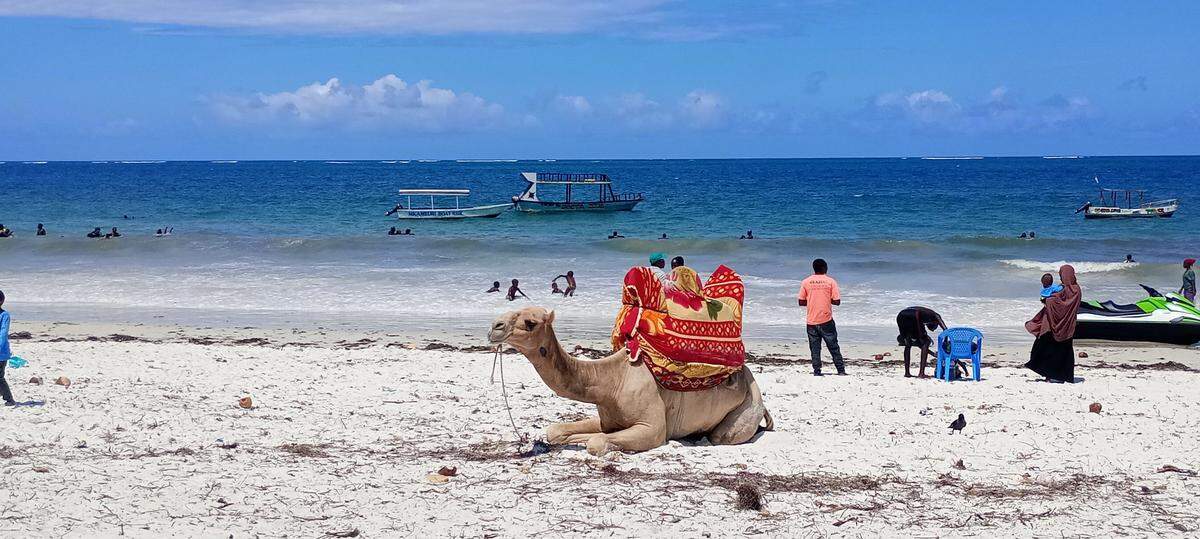 En Lamu la vida se rige por el sol y las llamadas al rezo desde las mezquitas.