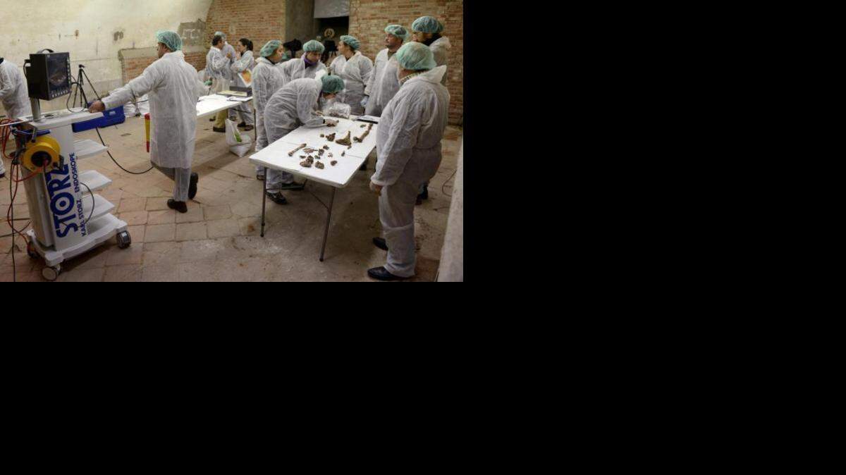 Imagen de los investigadores que estudian los restos en la iglesia de las Trinitarias. BERNARDO DÍAZ EFE
