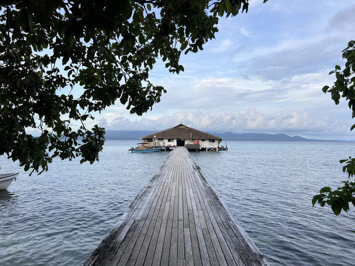 Las Islas Salomón ofrecen playas vírgenes, arrecifes impresionantes y selvas montañosas,  además de una rica biodiversidad, increíbles rutas de senderismo y tradiciones centenarias. 