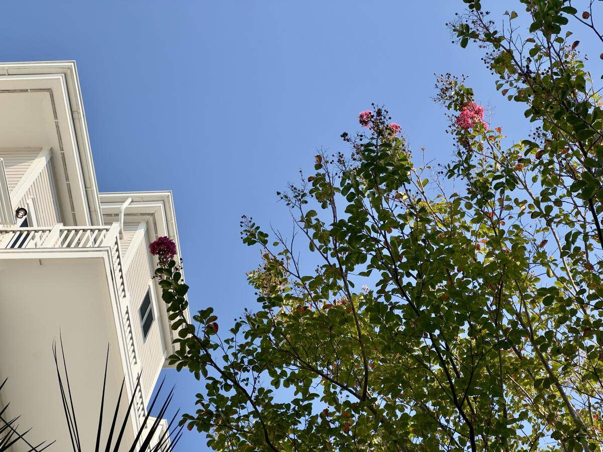 Hotel Effie en Sandestin.
