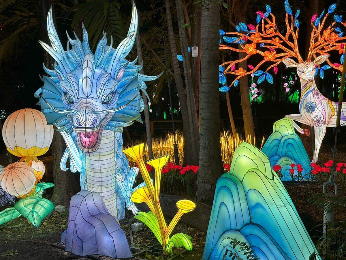 El paisaje tropical con deslumbrantes exhibiciones en Jungle Island se extienda hasta el 8 de marzo del 2025.&nbsp;
