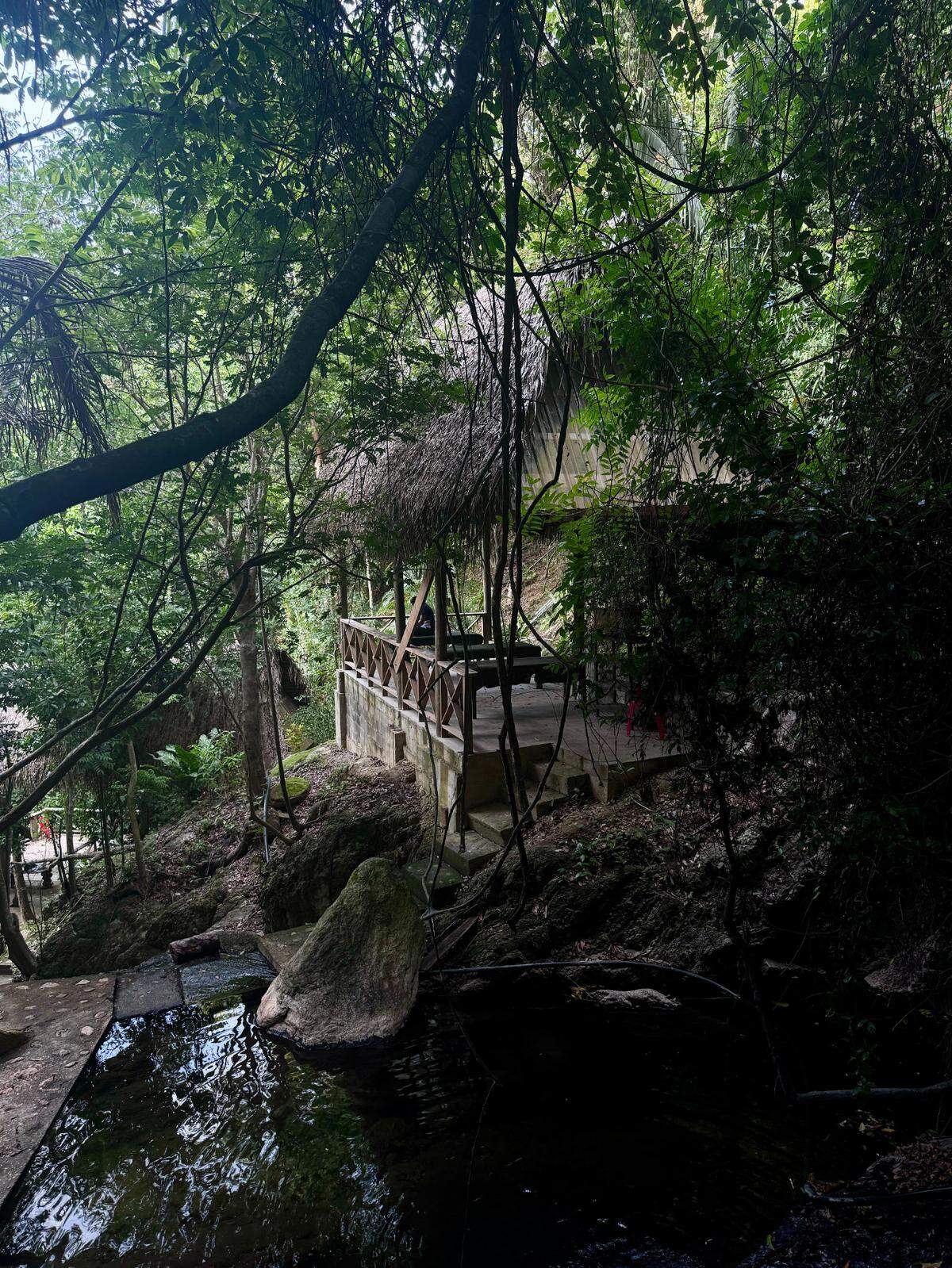 A minutos andando de La Ceiba se encuentran sus aguas termales.