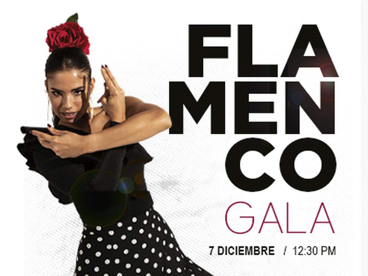 Flamenco Gala