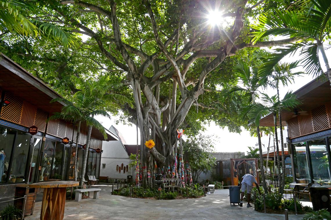 El Árbol de los Deseos es el punto focal del centro comercial Upper Buena Vista, un espacio de boutiques y cafés, ubicado en la primera avenida y la 50 Terrace del noreste, cerca del Design District.