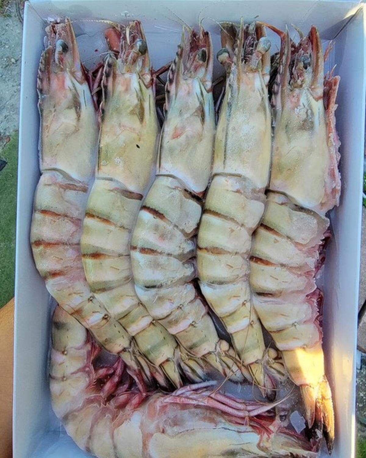 Blue Runner es un camión de mariscos que se instala en 11338 Biscayne Blvd en North Miami, de martes a domingo, desde el mediodía hasta las 6 p.m.