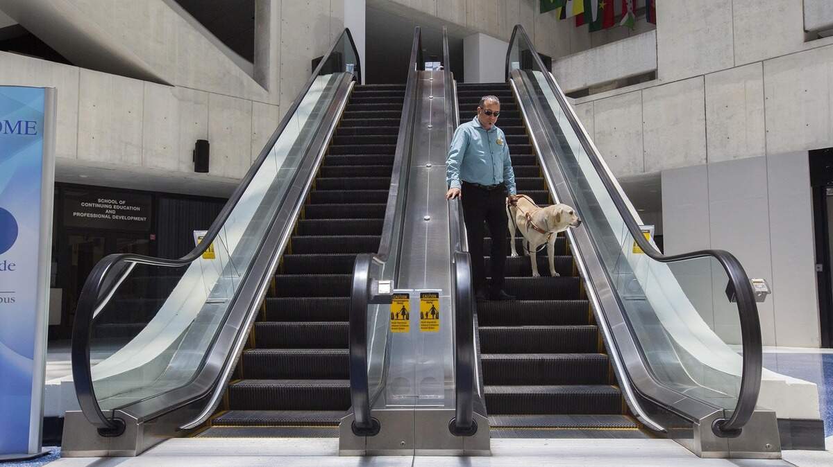 José Manuel Domínguez, coordinador del programa de empleo y pasantía de ACCESS, del Miami Dade College, con su perro de servicio Hero, en el recinto Wolfson.
