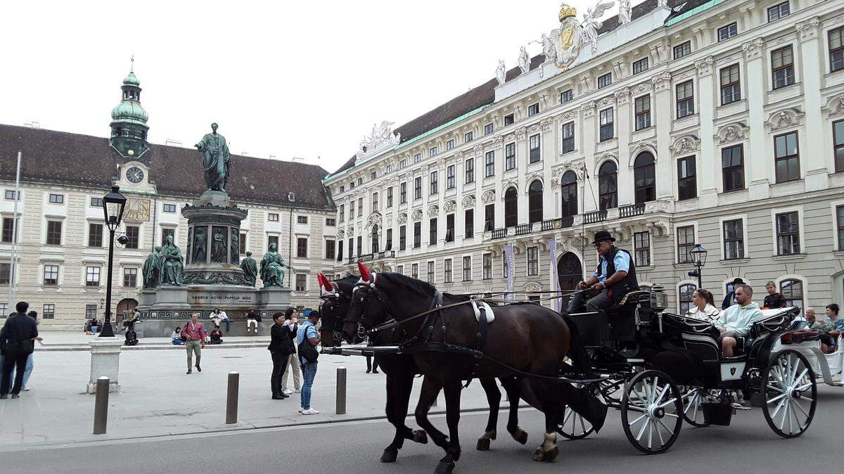 Palacio imperial de Viena, Hofburg desde otra perspectiva.
