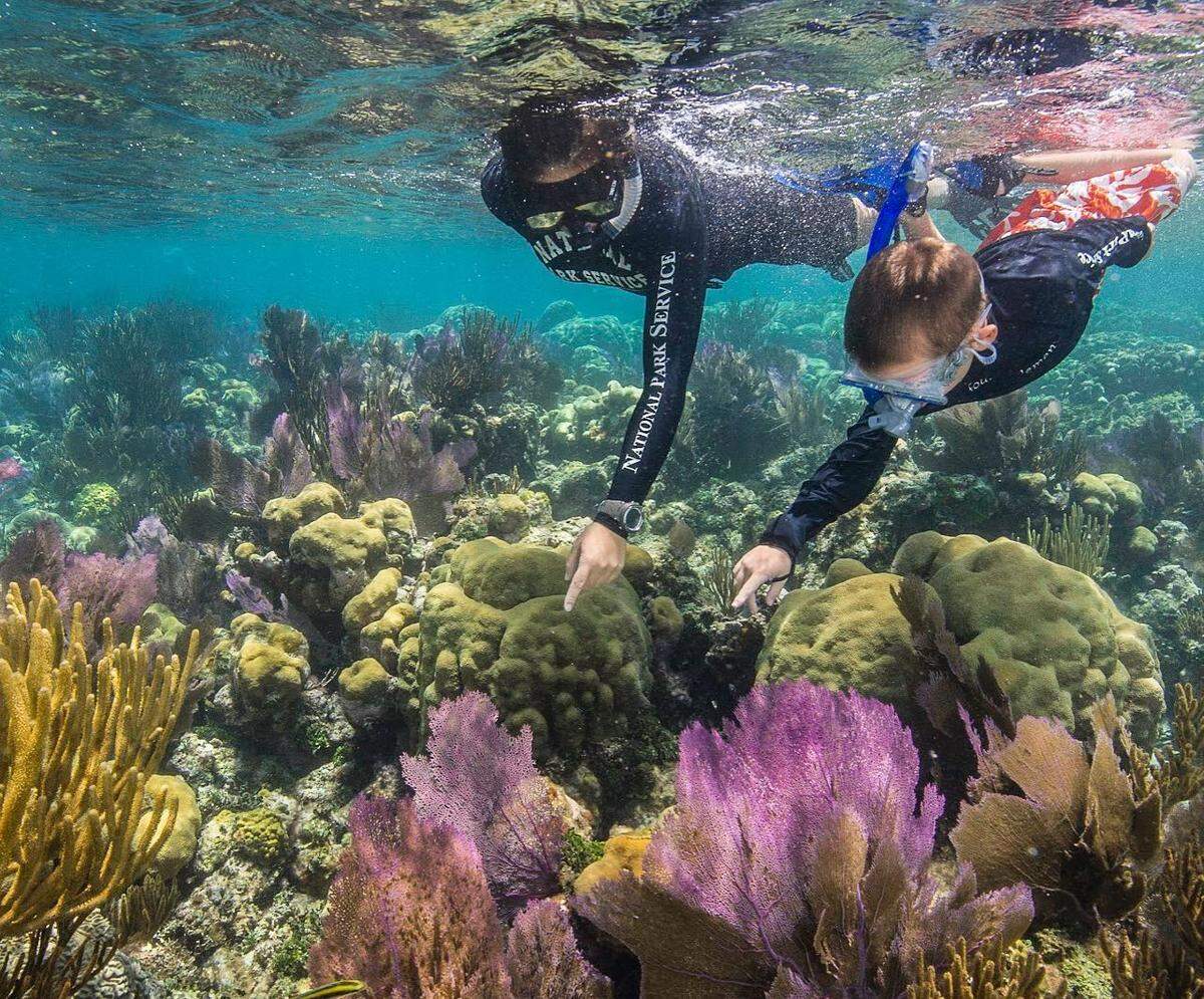 El Parque Nacional Dry Tortugas es un arrecife de coral repleto de vida animal justo al lado de la costa, a solo 70 millas de Cayo Hueso, con aguas poco profundas, entre 5 y 15 pies.