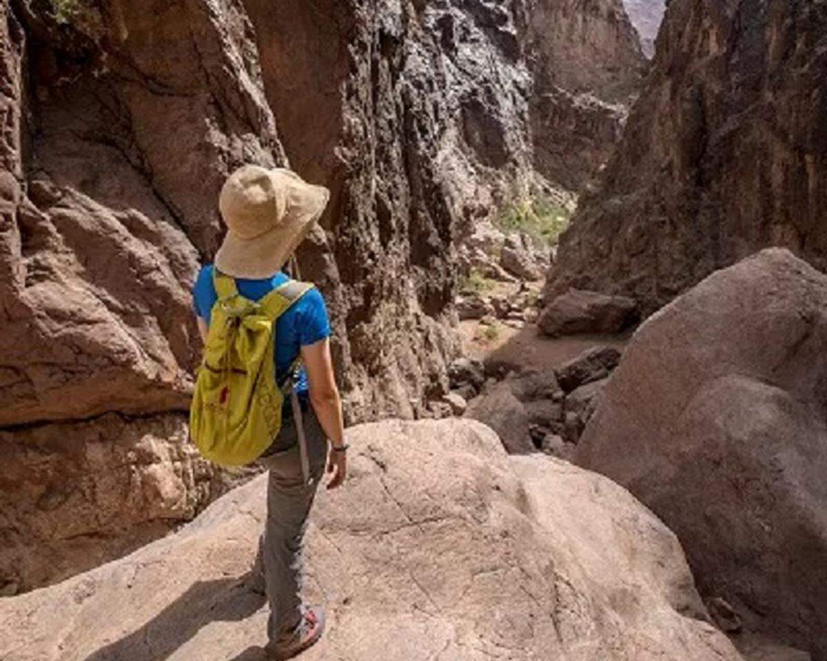 Los parques nacionales de EEUU ofrecen&nbsp;entrada gratis&nbsp;en ciertos días festivos.