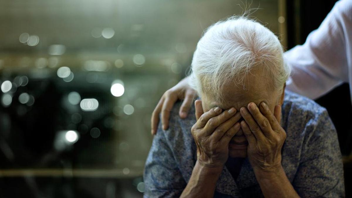 Un estudio de la Universidad de Washington en San Luis (EEUU) se suma a las evidencias que apuntan a la importancia del microbioma intestinal en las primeras etapas la enfermedad de Alzheimer.
