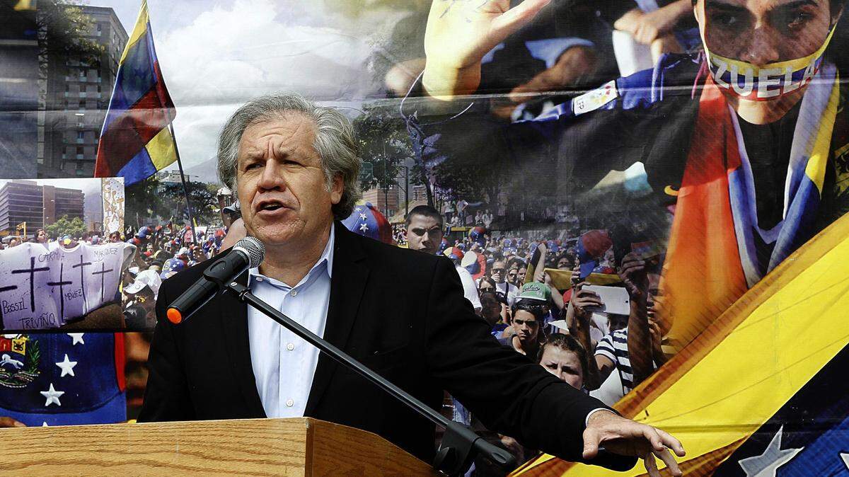 Luis Almagro, Secretario General de la Organización de Estados Americanos (OEA), habla en un encuentro organizado en Doral con la comunidad venezolana en enero de este año. El secretario solicitó a expertos internacionales que prepararan el perturbador informe sobre las violaciones a los derechos humanos cometidos por el régimen de Venezuela.