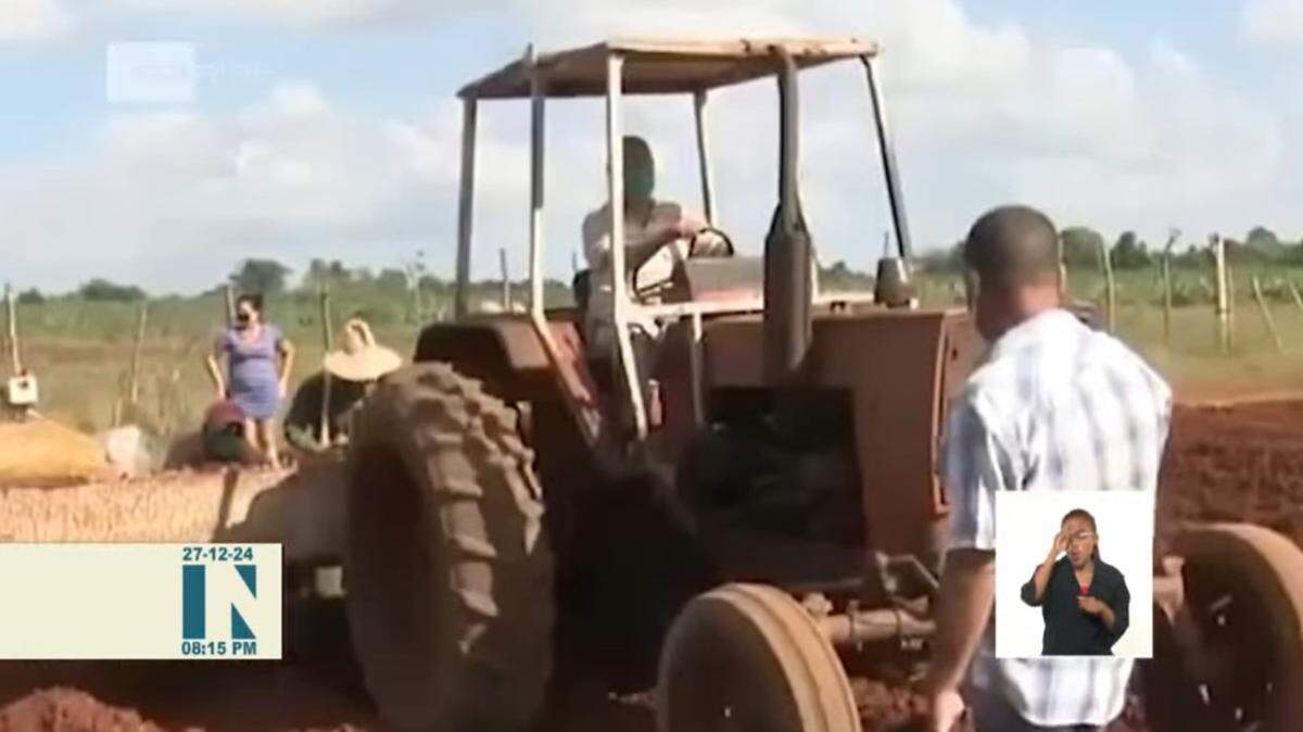 Un reporte de la televisión estatal en Cuba asegura que el país cuenta con el “paquete tecnológico” para el cultivo de papas en medio de la crisis de alimentos.
