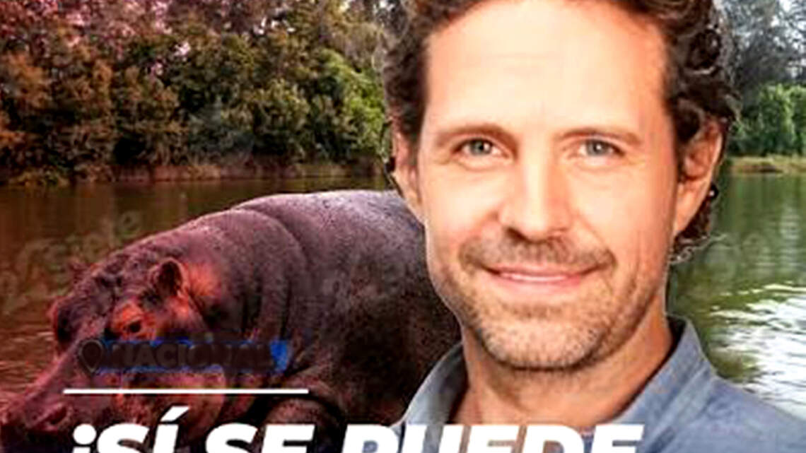 ¿Logrará Nicolás Ibarguën salvar los hipopótamos de Escobar?