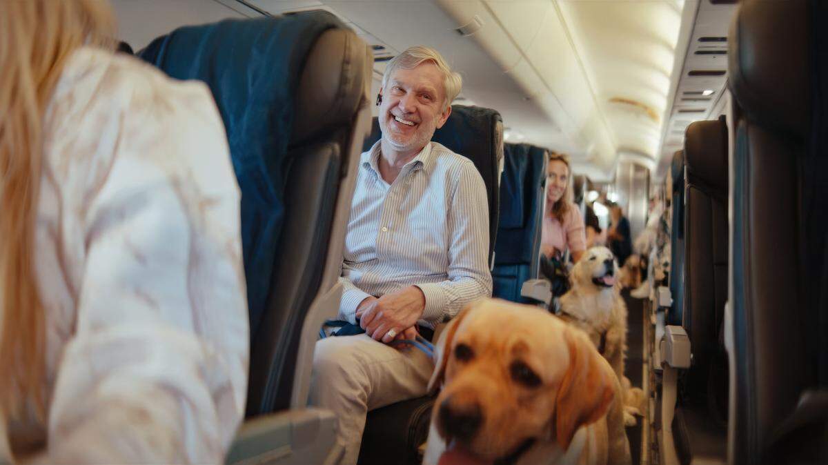 La aerolínea Bark Air prestará sus servicios en la ruta Nueva York -Florida.