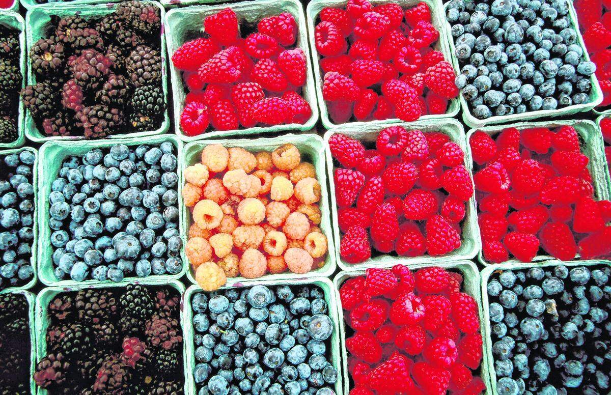 Mercado de agricultores de Vizcaya Village todos los domingos.