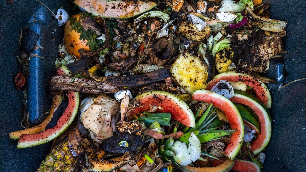 South Carolina wastes some of the most food in the country.