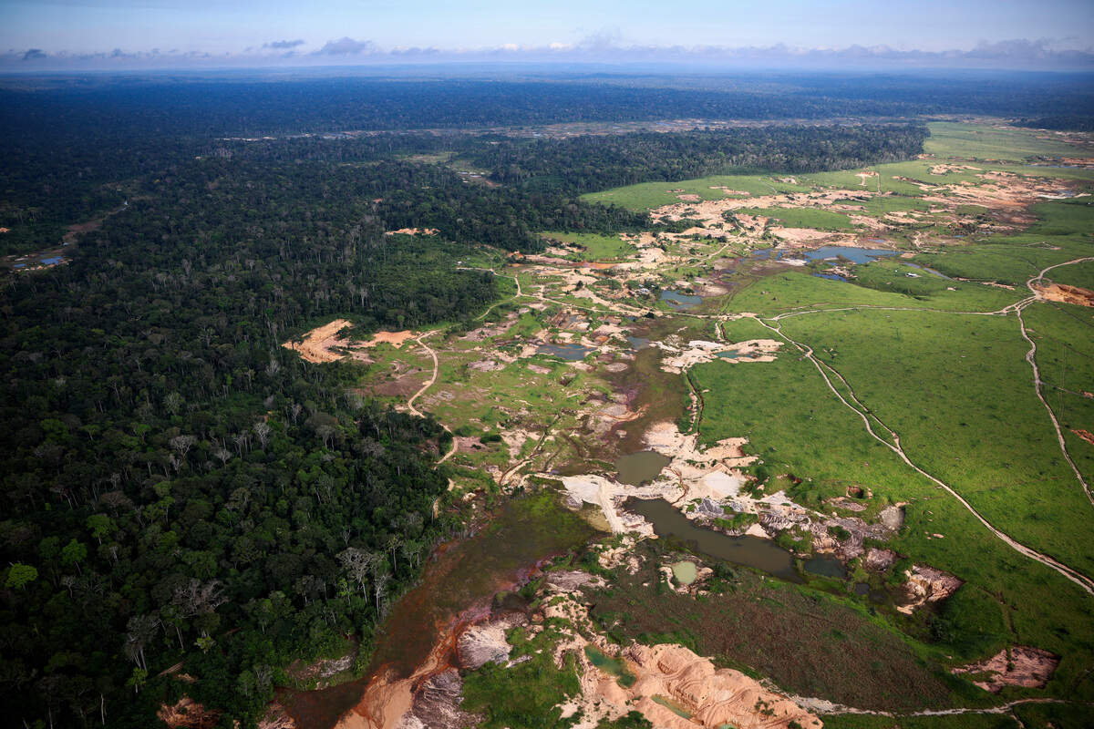 Una vista aérea muestra una mina de oro ilegal en la selva amazónica durante un sobrevuelo de Greenpeace en el municipio de Itaituba, Brasil, el 20 de mayo de 2026.