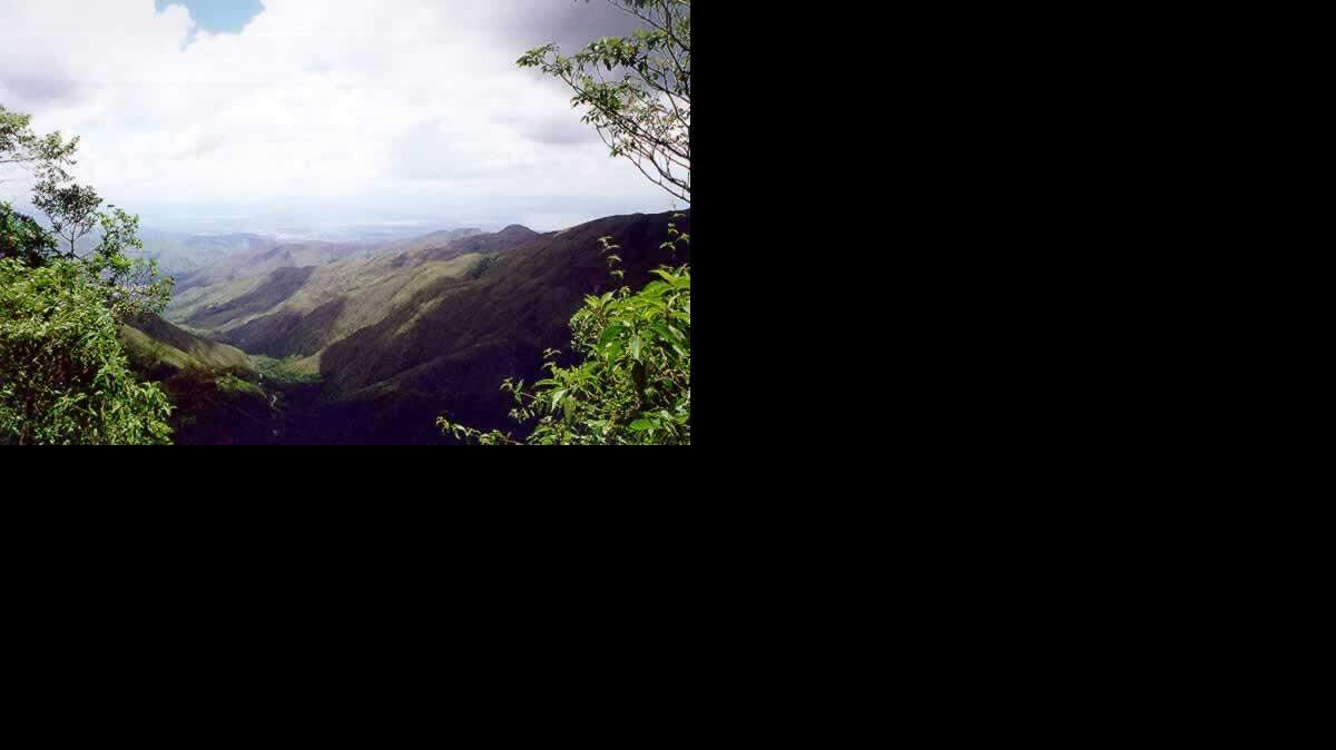 ARCHIVO - El Parque Nacional Henri Pittier, entre los estados Aragua y Carabobo en Venezuela.