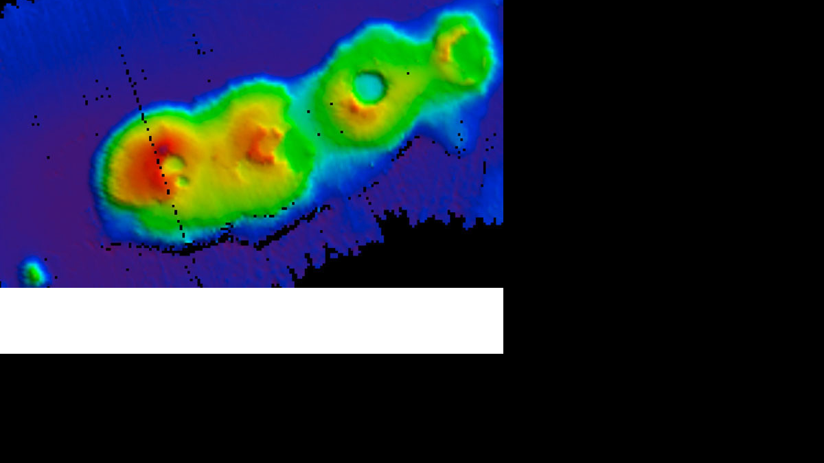 Cuatro enormes volcanes submarinos, que podrían tener unos 50 millones de años, han sido accidentalmente descubiertos frente a las costas de Sídney, Australia, por un equipo de científicos que buscaba larvas de langosta.