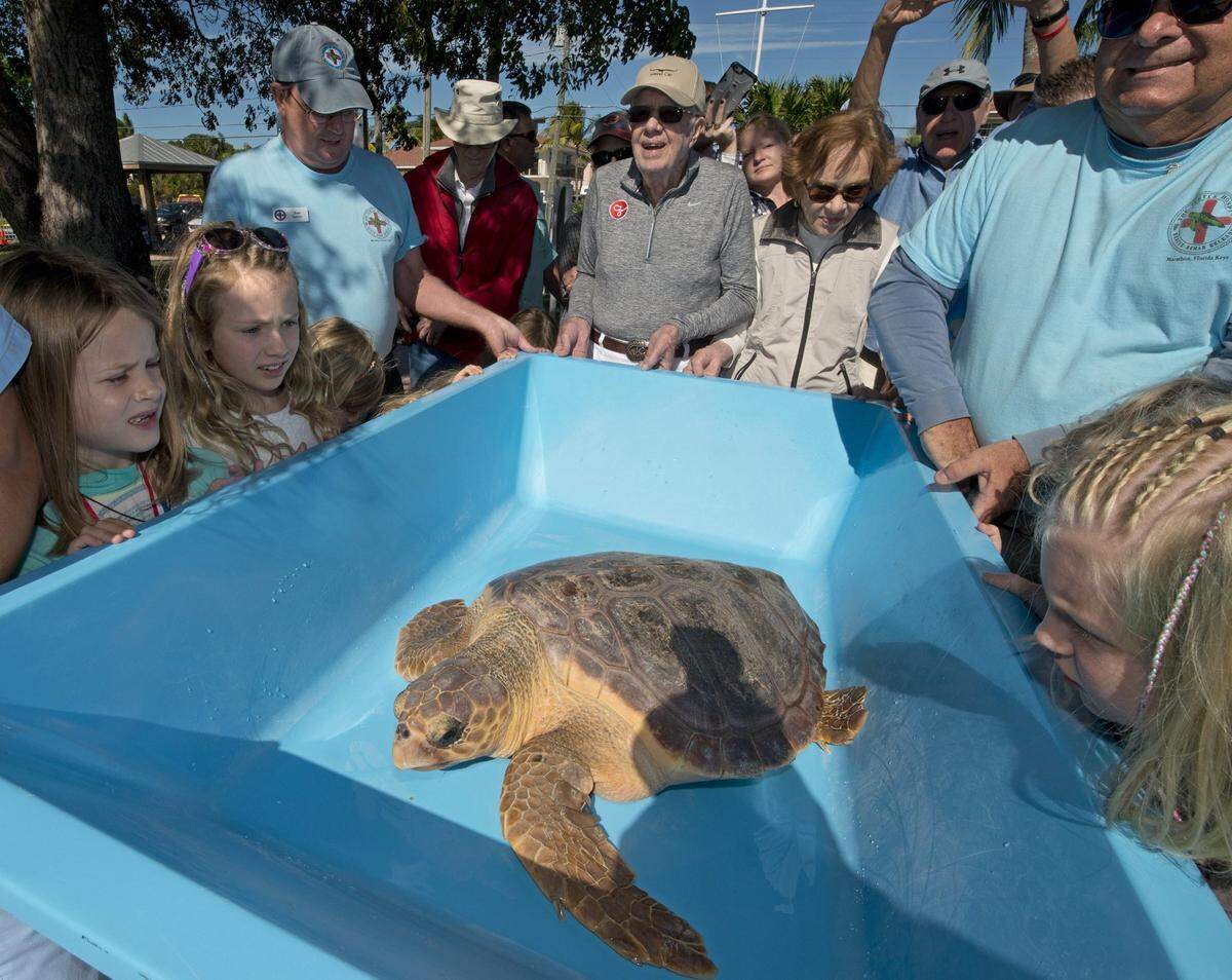 El ex presidente Jimmy Carter (centro abajo) y su esposa Rosalynn (a su lado), junto a sus bisnietos y miembros del personal del Turtle Hospital, ayudan a transportar a Salty, una tortuga boba rehabilitada, que fue liberada en Sombrero Beach en Marathon, en esta foto de archivo de diciembre de 2016. Los Carter y unos 40 miembros de su familia estaban de vacaciones en los Cayos de Florida.