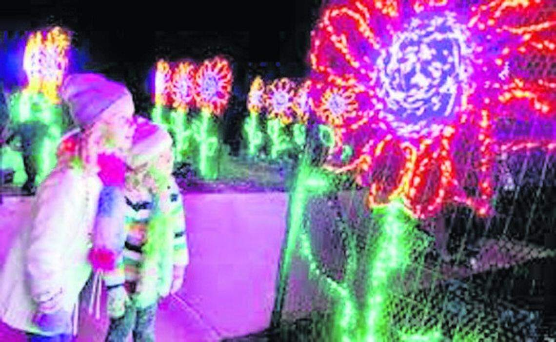 Nights of Lights at Pinecrest Gardens