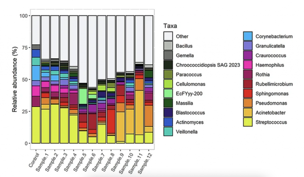 Dinámica de la variación de las comunidades microbianas a lo largo de doce semanas. Las barras representan la modificación del perfil microbiano a lo largo del tiempo. Satari et al.