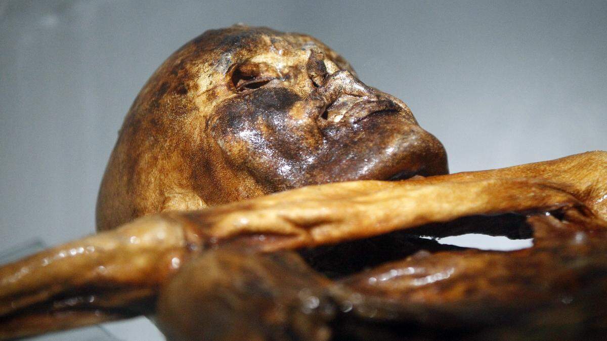 La momia de un hombre de hielo llamado Ötzi, descubierta en 1991 en el glaciar del valle de Schnal, en Italia, se exhibe en el Museo Arqueológico de Bolzano el 28 de febrero de 2011 durante una presentación oficial de la reconstrucción.