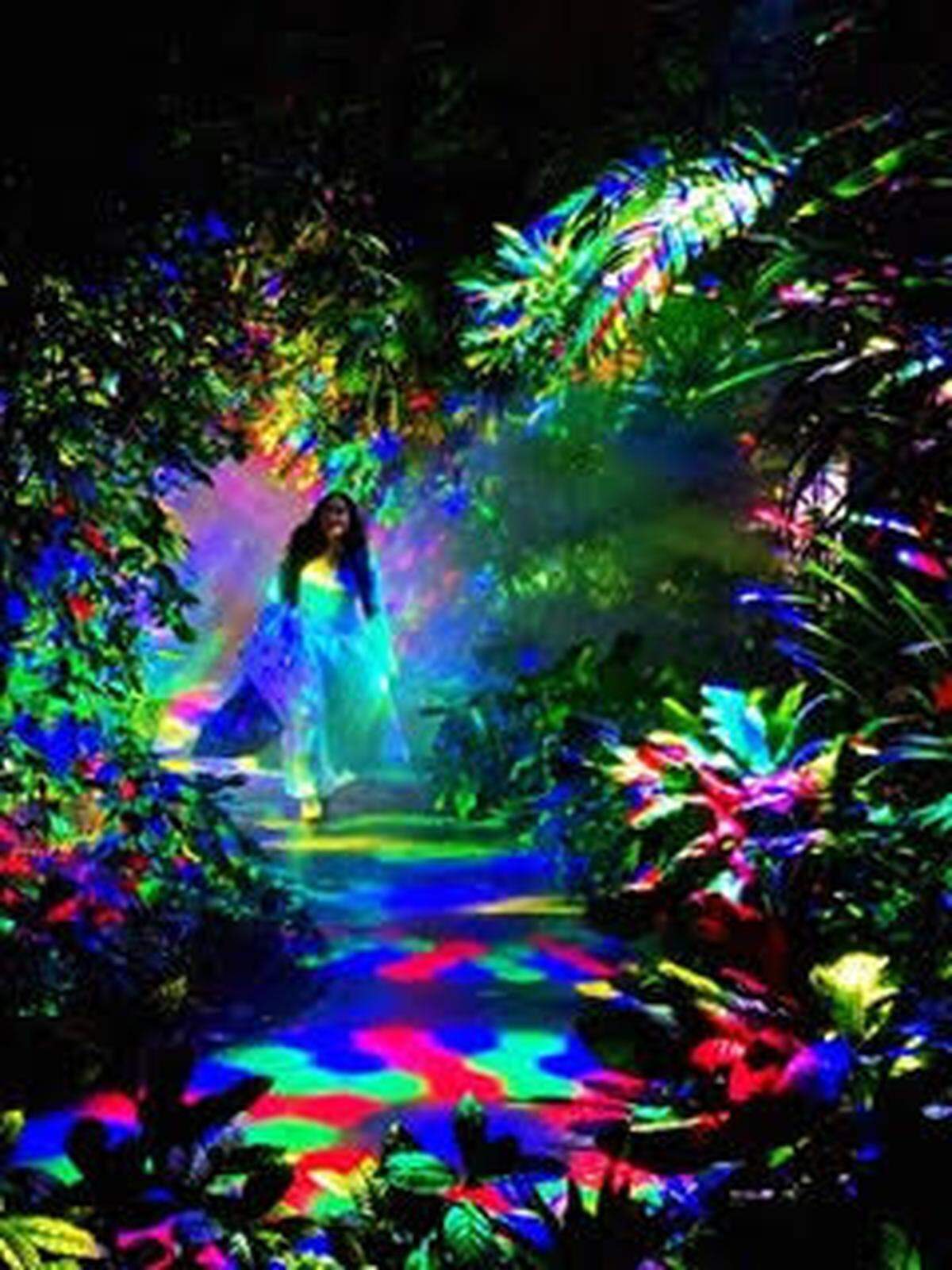 Regresa uno de los eventos más queridos de la temporada: NightGarden en el Fairchild Tropical Botanic Garden.