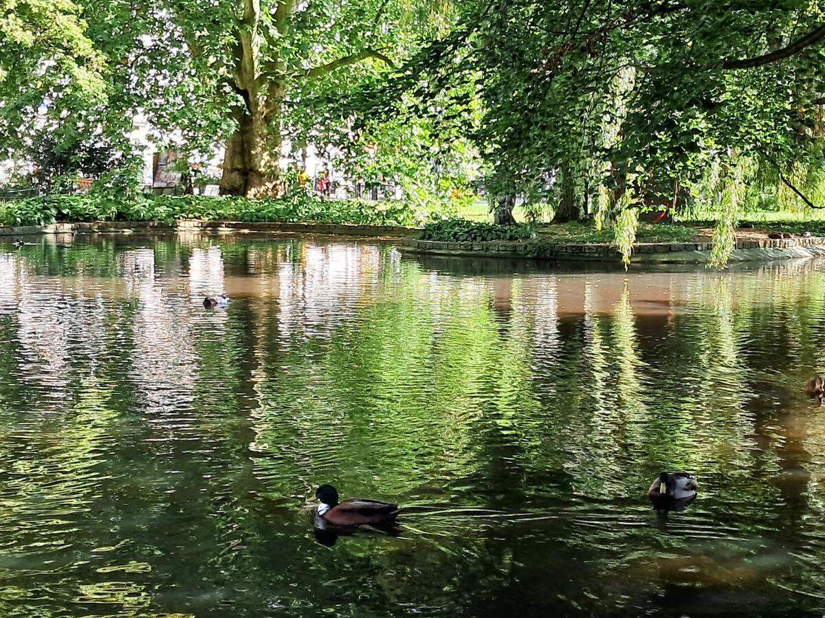 El lago de Karlovy Vary.