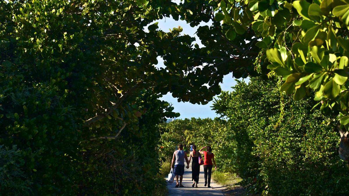 Oleta River State Park in Miami-Dade is one of nine state parks that could see recreational sports additions under a state plan that is drawing criticism.