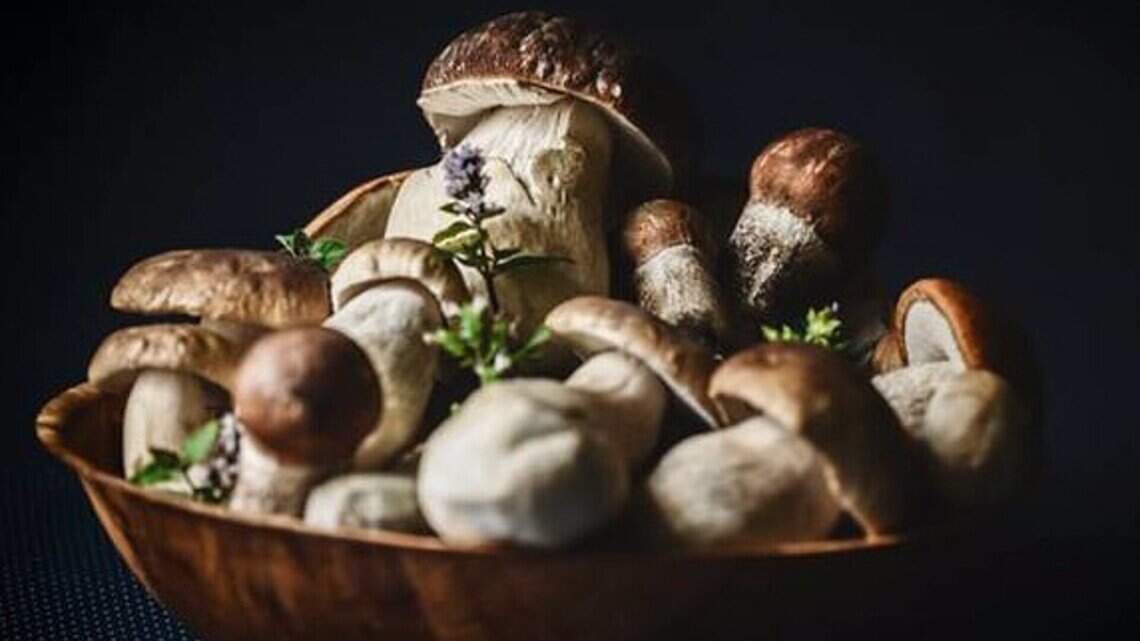 Estos son los ocho alimentos clave para cuidarnos sin renunciar al sabor
