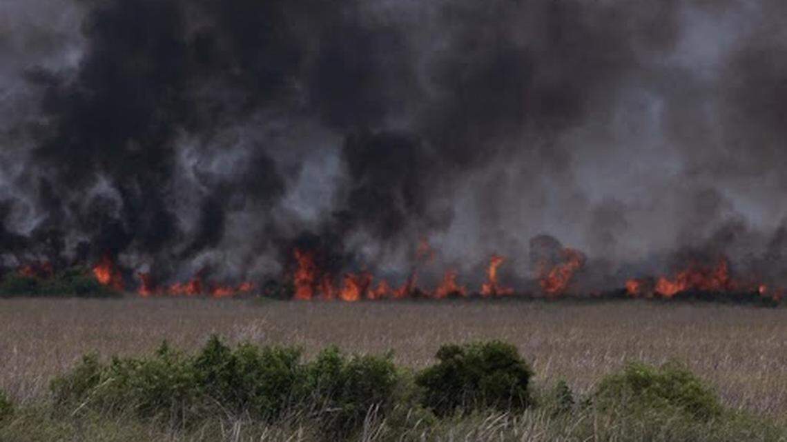 Bomberos combaten masivo incendio en Broward y otro menor en Miami-Dade