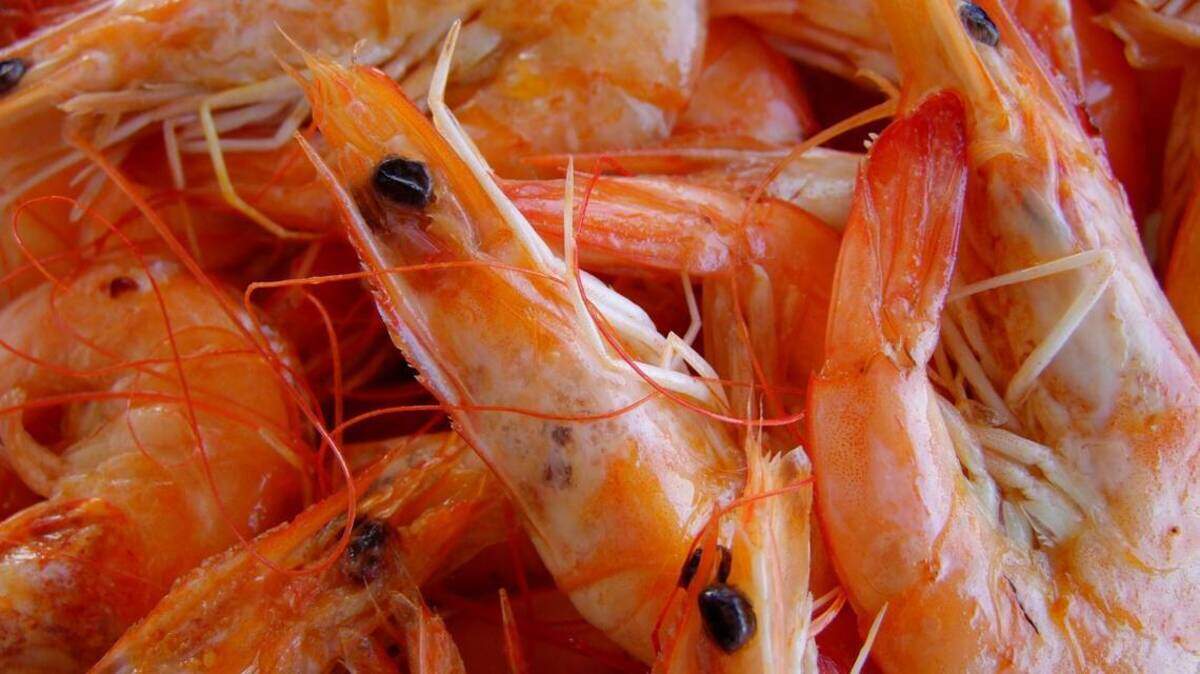 El camarón tiene dos notables nutrientes, el selenio y la astaxantina, los dos excelentes antioxidantes.