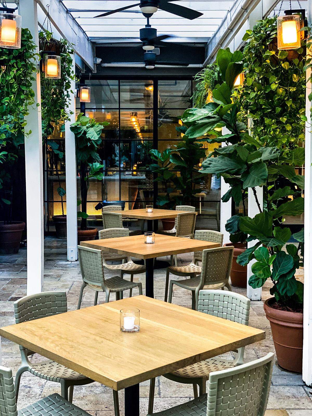 El chef y propietario de Ariete, Michael Beltrán, presenta una experiencia culinaria innovadora en la exuberante avenida arbolada en Coconut Grove.