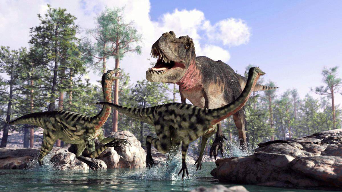 Campamento de invierno: detectives de dinosaurios en Museo de Ciencias Phillip y Patricia Frost.