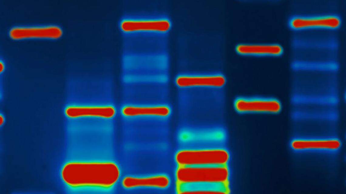 Desarrollan un método criptográfico con ADN para cifrar comunicaciones