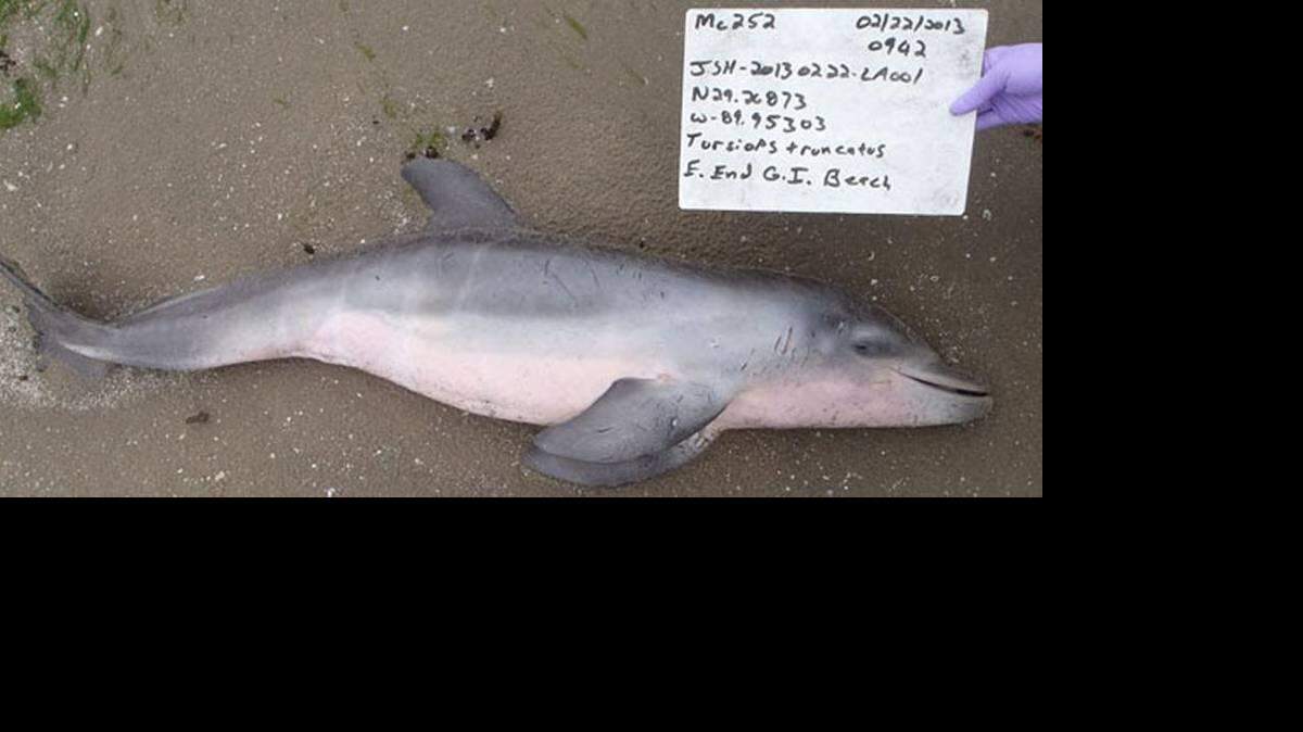 Cortesía NOAA