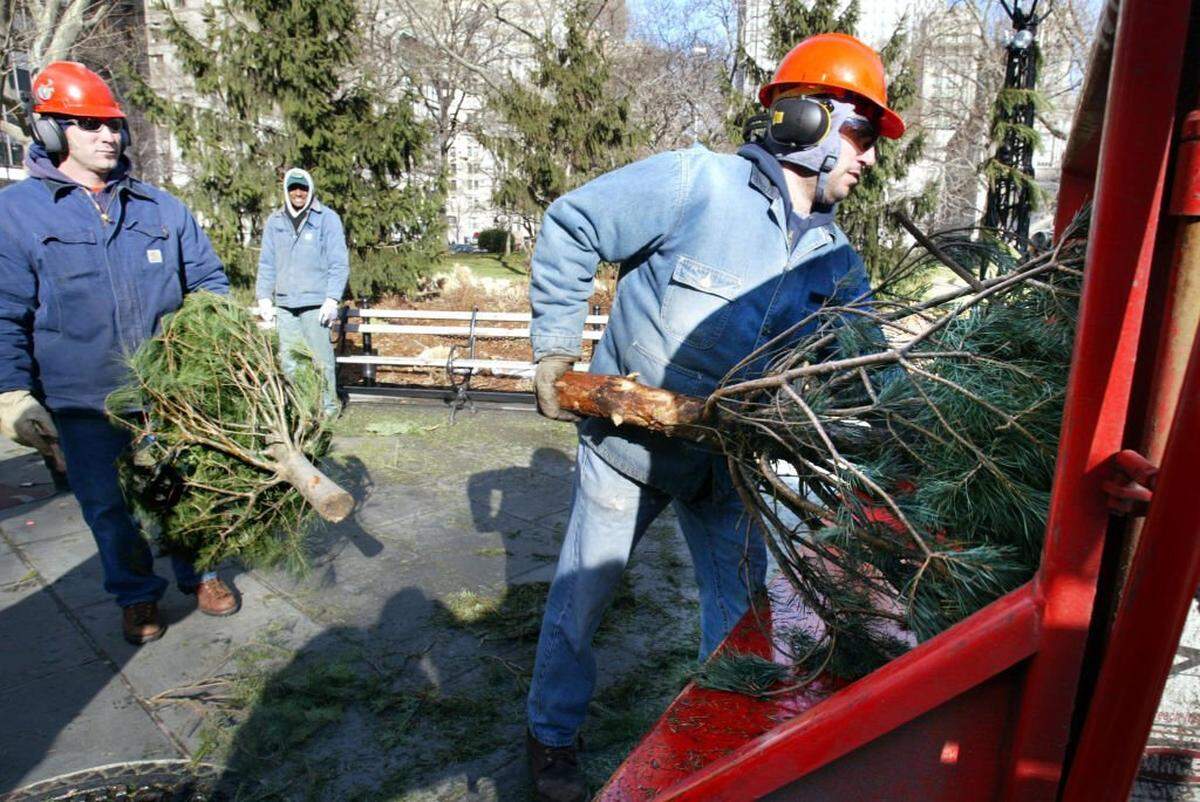 Trabajadores del Departamento de Parques y Recreación de Nueva York cargan árboles de Navidad hacia una máquina trituradora para convertirlos en mantillo. 