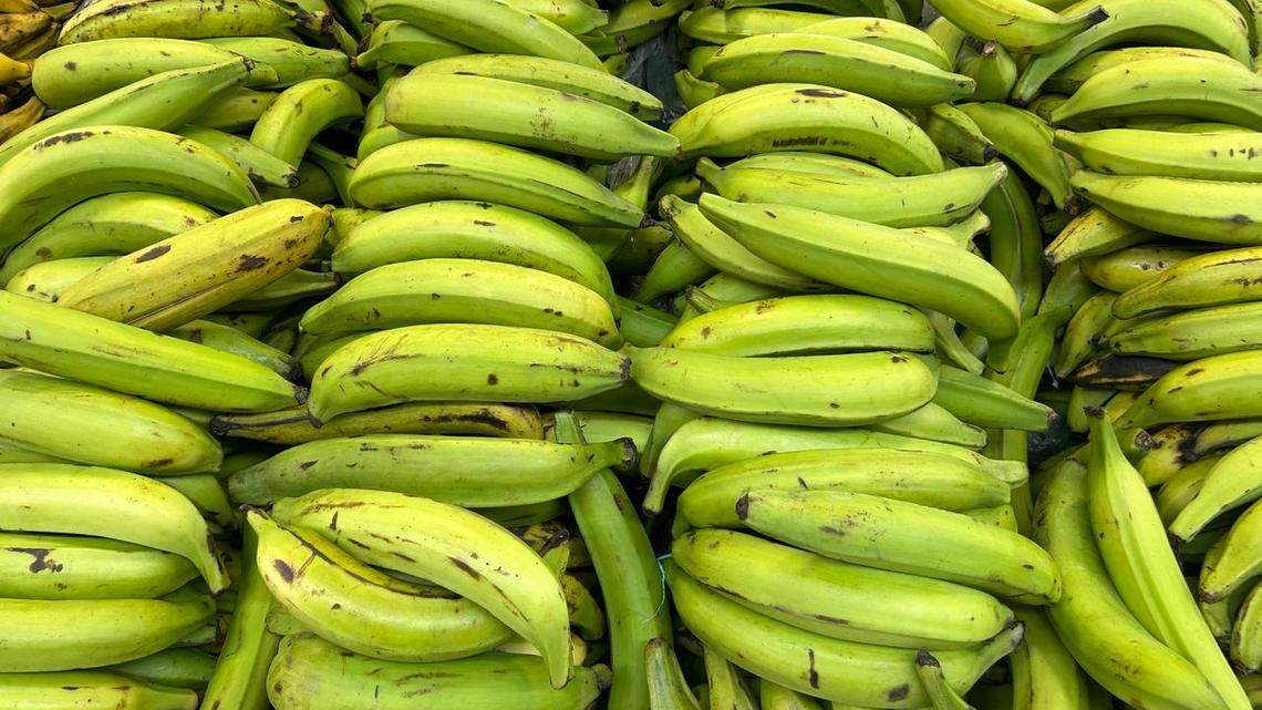 Foto de archivo de plátanos verdes.