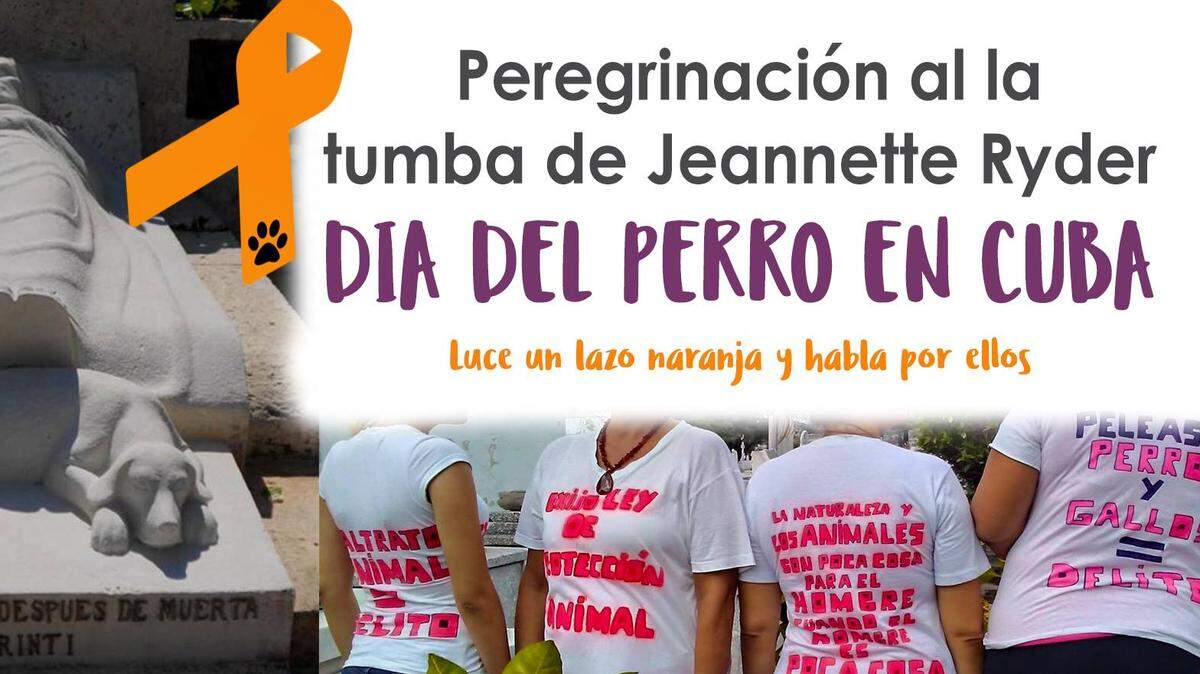 Promo de la manifestación contra el maltrato animal en La Habana.